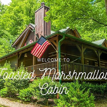 Pigeonforge Cabin Game Roomdog Friendlyhot Tub Pigeon Forge Extérieur photo