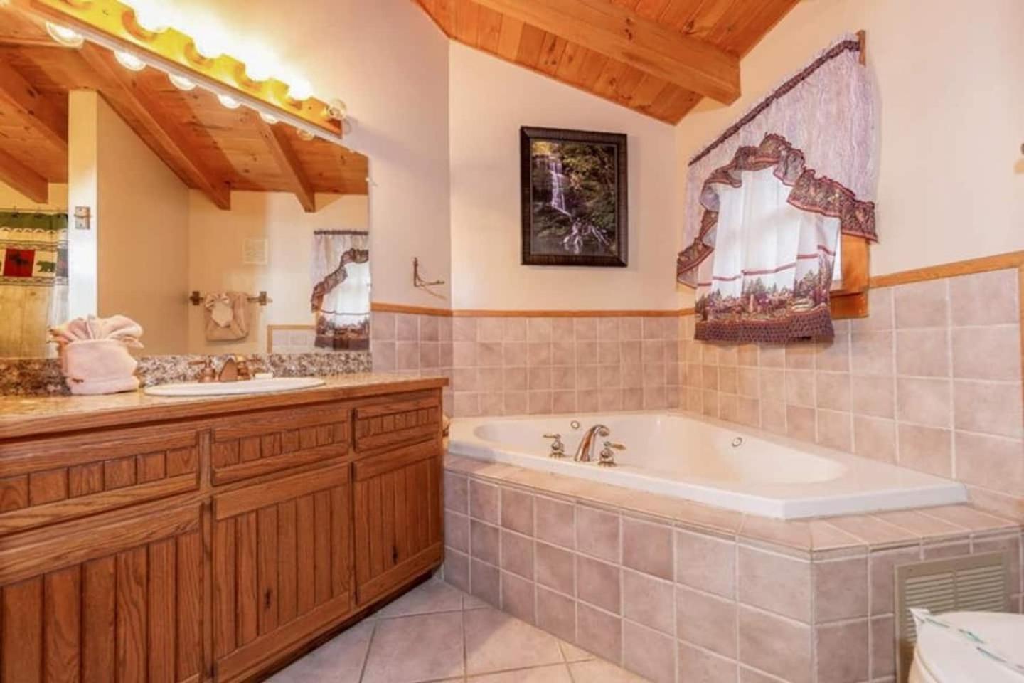 Pigeonforge Cabin Game Roomdog Friendlyhot Tub Pigeon Forge Extérieur photo